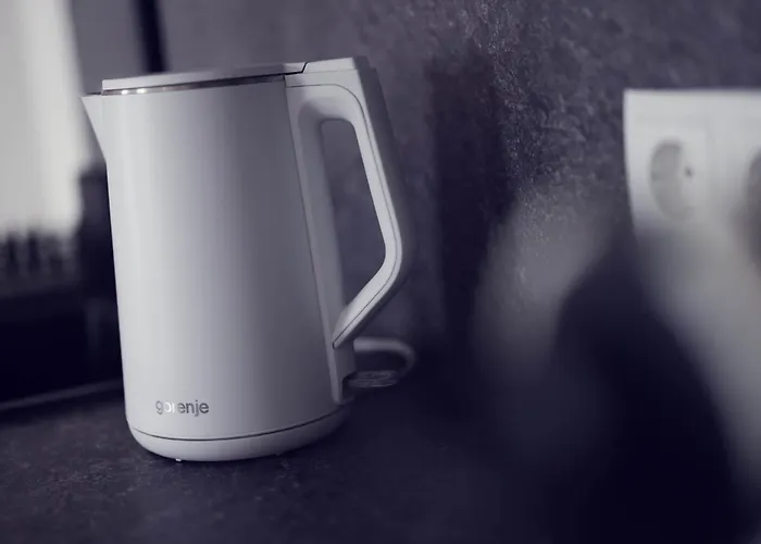 公寓 Leonart Living 21 格拉茨